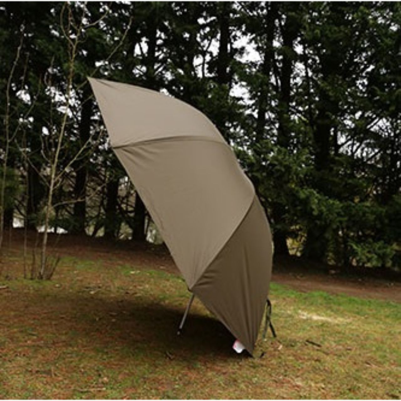 fox FOX BROLLY 60