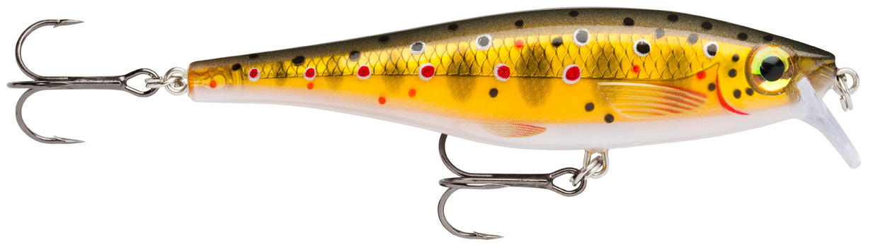 RAPALA BX MINNOW BXM10 RA5813029_10.jpg