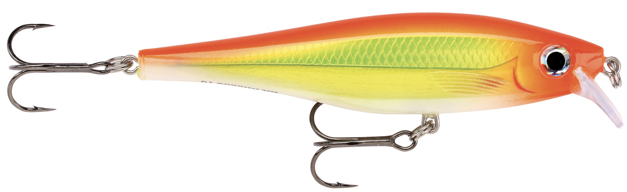 RAPALA BX MINNOW BXM10 RA5813029_4.jpg